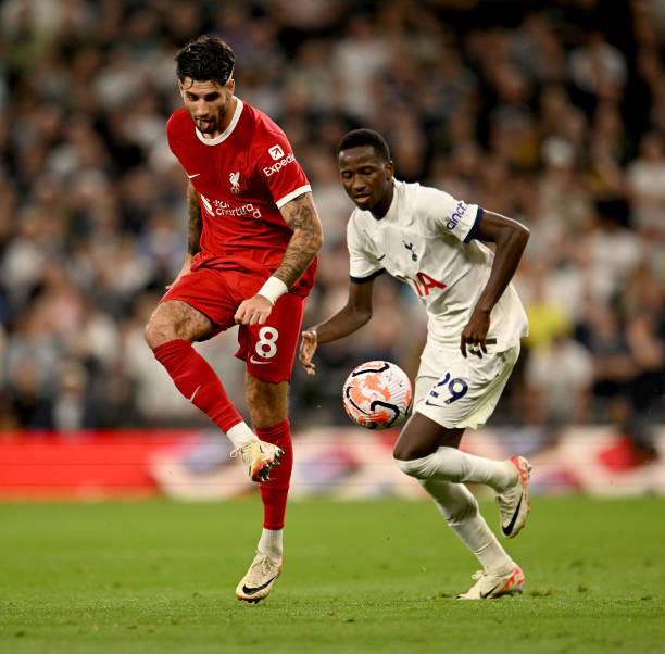 谐交融的象 谐交融的象